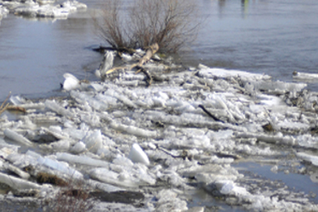 Паводки в Алматинской области затопили еще 12 жилых домов