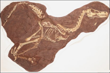 Ученые нашли родственника динозавра из "Парка Юрского периода" 