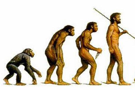 Теории эволюции Дарвина противопоставили "теорию пространства"