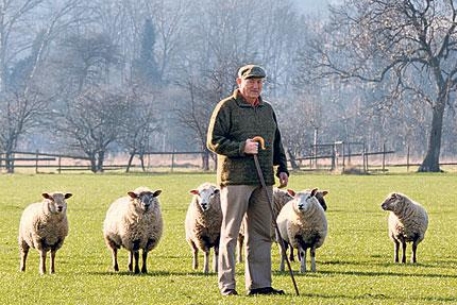 Британский фермер обвинил НЛО в нападении на овец