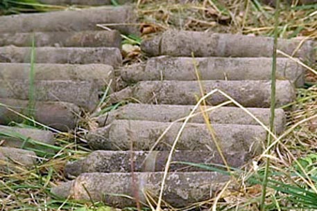 Жители Ростова нашли в лесу 92 снаряда времен войны