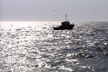 При крушении турецкого судна 11 украинских моряков пропали без вести 