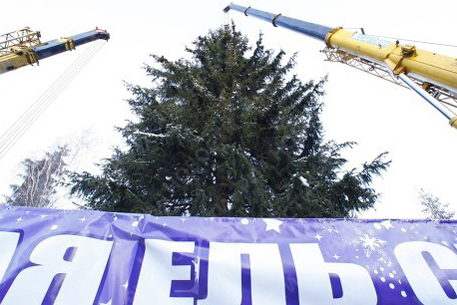 На Соборной площади Кремля установят 100-летнюю елку